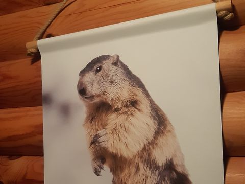 CHALET 4 personnes - chalet des marmottes