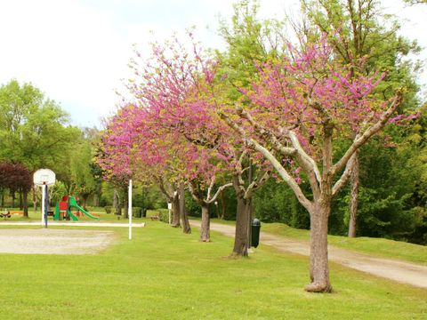 Camping Municipal La Justale - Camping Haute-Garonne - Image N°17