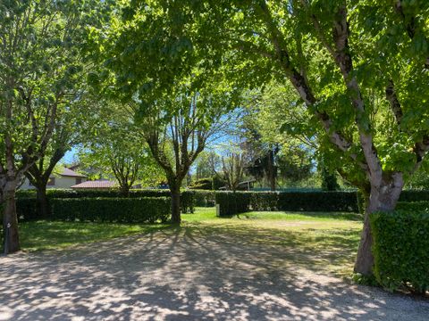 Camping Municipal La Justale - Camping Haute-Garonne - Image N°15