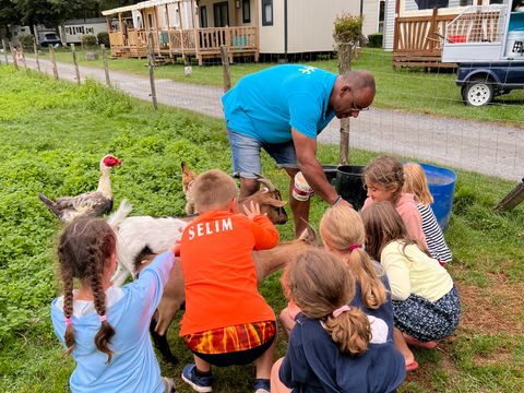 Camping Paradis Ombre des Tilleuls - Camping Hautes-Pyrénées - Image N°24