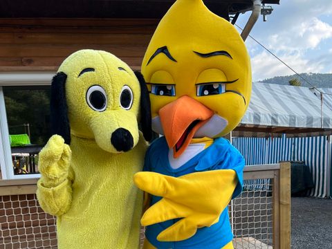 Camping Paradis Ombre des Tilleuls - Camping Hautes-Pyrénées - Image N°32