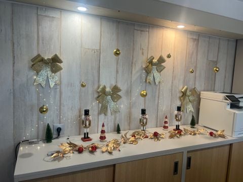 Camping Parc des Fontanettes - Camping Var - Image N°2