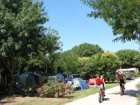 Camping Port Pothuau - Camping Var - Image N°58