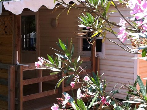 MOBILHOME 4 personnes - LE LAVANDOU