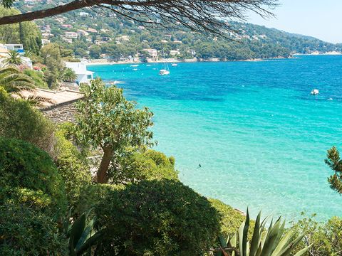 Camping Les Mimosas - Camping Var - Image N°12