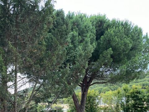 Camping Figurotta - Camping Aude - Image N°28