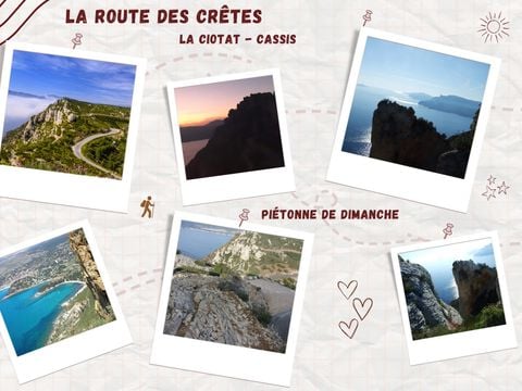 Camping de Ceyreste - Camping Bouches-du-Rhône - Image N°29