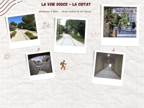 Camping de Ceyreste - Camping Bouches-du-Rhône - Afbeelding N°32