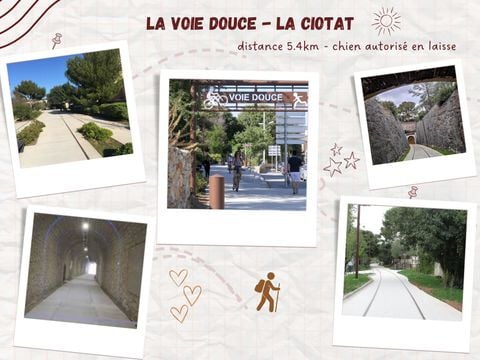 Camping de Ceyreste - Camping Bouches-du-Rhône - Image N°43