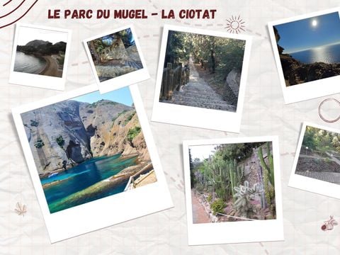 Camping de Ceyreste - Camping Bouches-du-Rhône - Image N°38