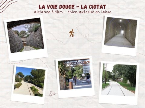 Camping de Ceyreste - Camping Bouches-du-Rhône - Afbeelding N°36