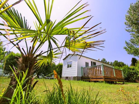 Camping de Montolieu Camping de Montolieu - Camping Aude - Image N°12
