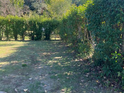 Camping de Montolieu - Camping Aude - Image N°36
