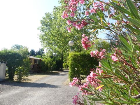 Camping de Montolieu Camping de Montolieu - Camping Aude - Image N°8