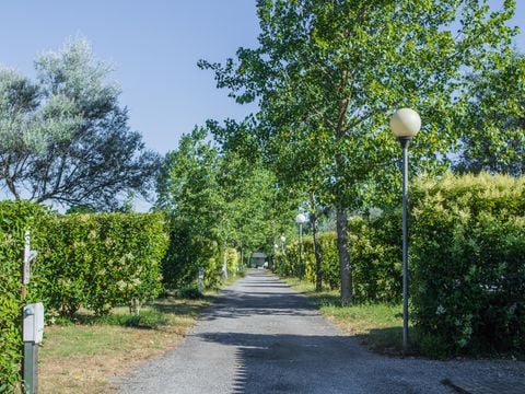 Camping de Montolieu - Camping Aude - Image N°6