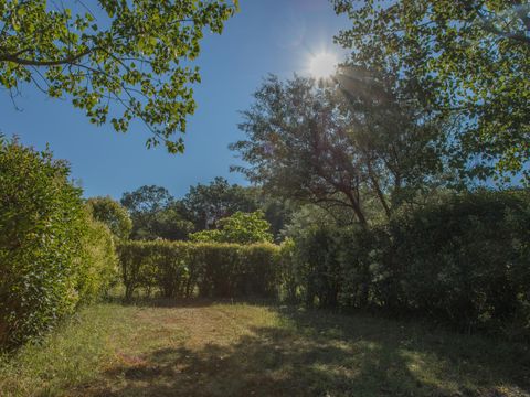 Camping de Montolieu Camping de Montolieu - Camping Aude - Image N°19
