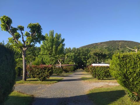 Camping d'Ibarron - Camping Pyrenees-Atlantiques - Image N°6