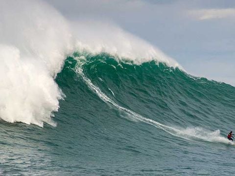 Camping Juantcho - Camping Pyrénées-Atlantiques - Image N°11
