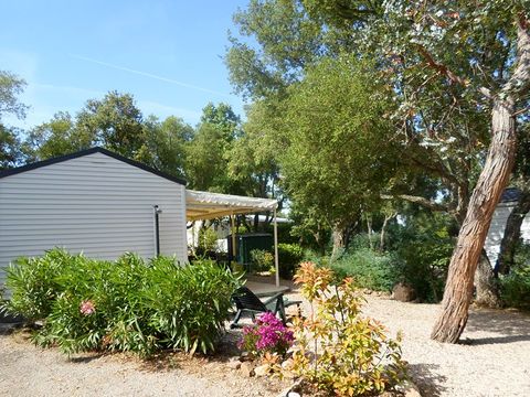 MOBILHOME 6 personnes - Cottage B - 3 chambres - 6 personnes