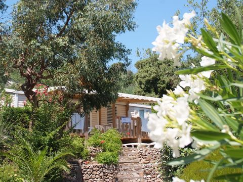 MOBILHOME 6 personnes - Cottage A - 3 chambres - 30/35m²