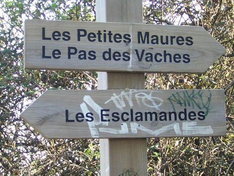 Camping Les Lauriers Roses - Camping Var - Image N°58