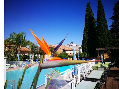 Camping Les Lauriers Roses - Camping Var