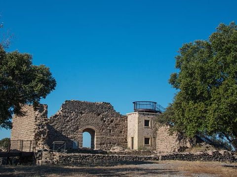 Domaine De Montrose - Camping Herault - Image N°26