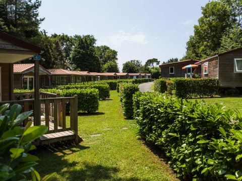 Camping Bela Basque - Camping Pyrénées-Atlantiques - Image N°12