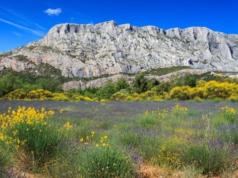 Camping Sainte Victoire - Camping Bouches-du-Rhône - Image N°4
