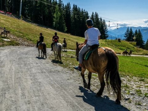 Camping Sainte Victoire - Camping Bouches-du-Rhône - Image N°5