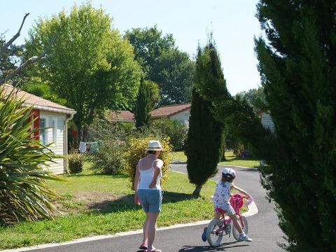 Camping Lou P'tit Poun  - Camping Landes - Image N°36