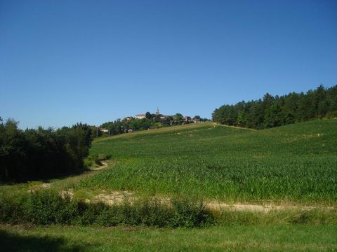 Château Le Haget - Camping Gers - Image N°23