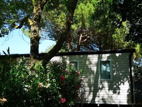 MOBILHOME 6 personnes - PREMIUM - 3 chambres - CLIM - TV - LV