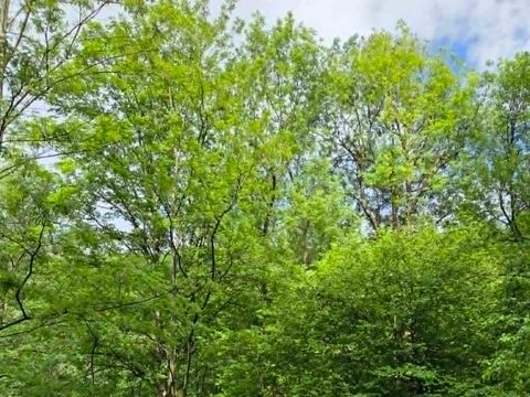 Hébergement 2 personnes - Cabane du pêcheur