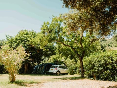 Routes du Monde - Camping Val Fleuri - Camping Alpes-Maritimes - Image N°4