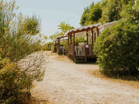 Routes du Monde - Camping Val Fleuri - Camping Alpes-Maritimes - Image N°3