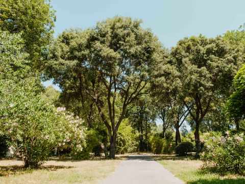 Routes du Monde - Camping Val Fleuri - Camping Alpes-Maritimes - Image N°15