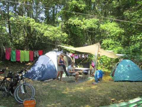 Camping L'Avelanède - Camping Var - Image N°26