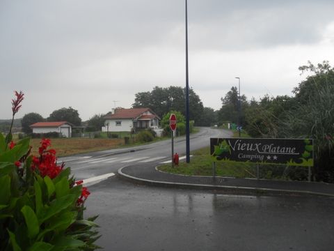 Camping Le Vieux Platane - Camping Landes