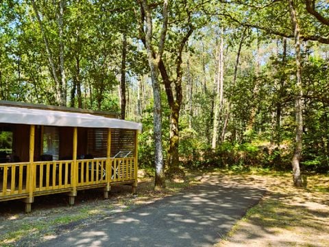 MOBILHOME 4 personnes - Premium 2 Chambres