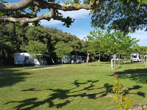 Camping Les chênes - Camping Gard - Image N°23