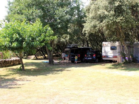 Camping Les chênes - Camping Gard - Image N°5