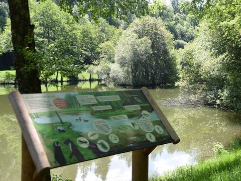 Camping-Base de Loisirs "La Forêt" Tarn - Camping Tarn - Image N°30