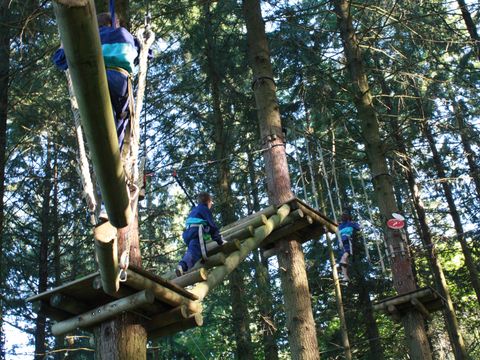 Camping-Base de Loisirs "La Forêt" Tarn - Camping Tarn - Image N°45