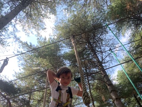 Camping-Base de Loisirs "La Forêt" Tarn - Camping Tarn - Image N°42