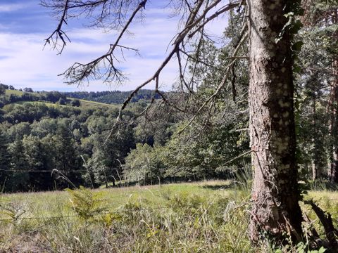 Camping-Base de Loisirs "La Forêt" Tarn - Camping Tarn - Image N°36