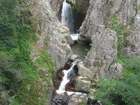 Camping-Base de Loisirs "La Forêt" Tarn - Camping Tarn - Image N°49
