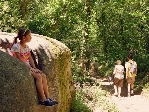 Camping-Base de Loisirs "La Forêt" Tarn - Camping Tarn - Image N°53