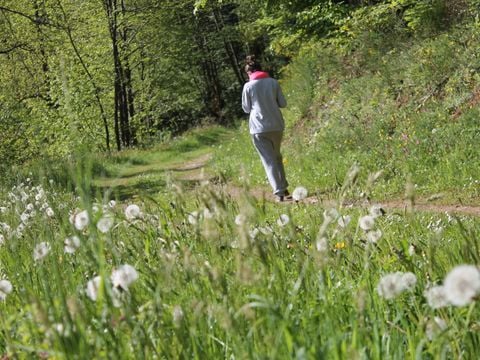 Camping-Base de Loisirs "La Forêt" Tarn - Camping Tarn - Image N°34