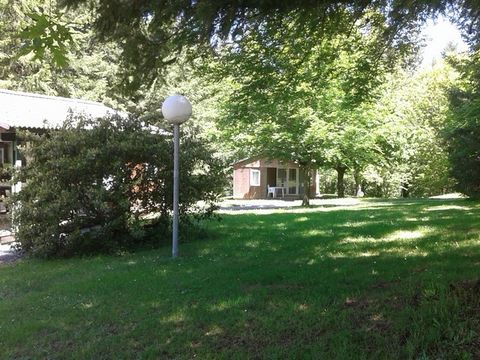 Camping-Base de Loisirs "La Forêt" Tarn - Camping Tarn - Image N°12